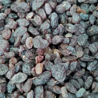 کشمش آفتابی عمده خرده|خوردنی و آشامیدنی|یزد, |دیوار