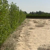 زمین فیروز بهرام ۴۲۲۵ متری|فروش زمین و ملک کلنگی|تهران, خلیج فارس|دیوار