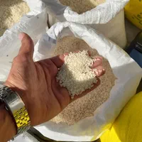 لاشه ها-شمی