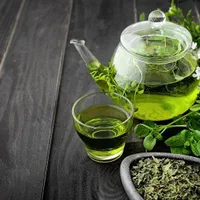 کارگاه طب سنتی همراه با استخدام قطعی