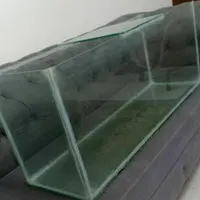 آکواریوم سالم نونو