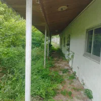 خونه باغ قدیمی ۲/۷۰۰متر سند تک برگ|فروش خانه و ویلا|رضوانشهر, |دیوار