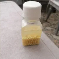خاویار حلزون آلبینو خانگی کاملا سالم