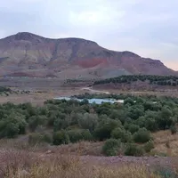 فروش گاوداری ۳۰۰۰ متری|فروش دفتر صنعتی، کشاورزی، تجاری|رشت, بلوار گیلان|دیوار
