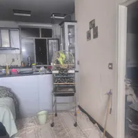 طوطی ملنگو|پرنده|تهران, جوادیه|دیوار