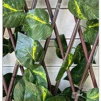 ،آکاردیون، دیوارسبز ریلی، دیوار سبز دیوار