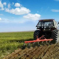 ۳۰۰۰ مترمربع زمین کشاورزی حاصلخیز|فروش دفتر صنعتی، کشاورزی، تجاری|کرج, اکبرآباد|دیوار