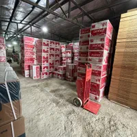 پکیج ایران رادیاتور مدل A22FF