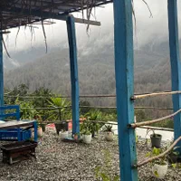 اجاره ویلا جنگلی دربست|اجارهٔ کوتاهمدت ویلا و باغ|نشتارود, |دیوار