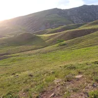 کار بیل زنجیری بولدوزر لودر کمپرسی غلطک استخر