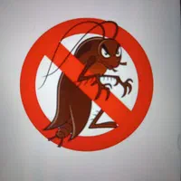 سمپاشی و طعمه گذاری تضمینی ،سوسک و موش،سم پاشی|خدمات نظافت|ارومیه, |دیوار