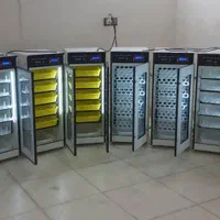 دستگاه جوجه کشــی«پیـشرفته با ضمـانت /0E