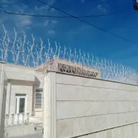 فروش و نصب حفاظ دیوار شاخ گوزنی بوته ای|خدمات پیشه و مهارت|کرمان, |دیوار