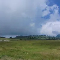 زمین مسکونی 260 متری زیروان بالا