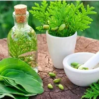 آموزش جامع طب سنتی اسلامی