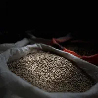 فروش عمده انواع دان مرغ تخمگذار و گوشتی|لوازم جانبی حیوانات|تهران, چیتگر جنوبی|دیوار
