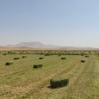 یونجه چین سوم
