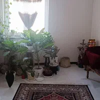 آگهی فروش آپارتمان ۳ خوابه دید کوهستان زیر قیمت|فروش آپارتمان|تهران, بهاران|دیوار