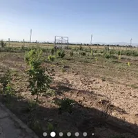 زمین کشاورزی گلخانه ای قزوین فارسیان|فروش دفتر صنعتی، کشاورزی، تجاری|قزوین, |دیوار