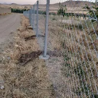 فنس‌کشی اصولی برای باغ شما با قیمت مناسب|خدمات پیشه و مهارت|دهگلان, |دیوار