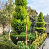 انجام کلی کار باغ شما با تجربه۱۷ سال باغبانی|خدمات باغبانی و درختکاری|کرمانشاه, |دیوار
