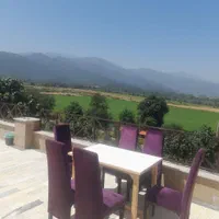 سوئیت در باغ و جنگل