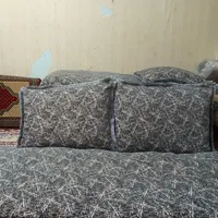 تشک و پشتی