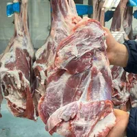 فروش گوشت بره کشتار روز
