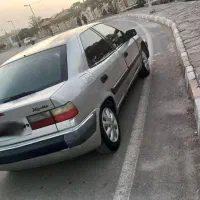 زانتیا مرتب