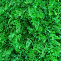 چمن مصنوعی. دیوار سبز .آسیا چمن گرین وال|خدمات باغبانی و درختکاری|اصفهان, بابوکان|دیوار