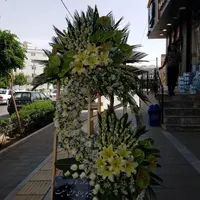 تاج گل|گل و گیاه طبیعی|سیرجان, |دیوار