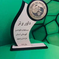 تندیس و تقدیرنامه|لوازم التحریر|مشهد, سرافرازان|دیوار