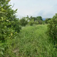 زمین-2000هزار-متر-در-کتالم-قابل-تفکیک