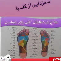 سم زدایی (یون تراپی) و فیزیوتراپی
