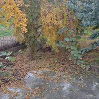زمین باغی روستای نصرآبادبه متراژ ۱۳۵۶مترمربع|فروش دفتر صنعتی، کشاورزی، تجاری|گرگان, |دیوار