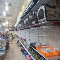 هایپر پرنده