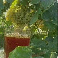 فروش شیره وارده ملایر وبروجرد