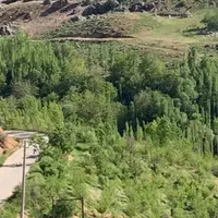 فروش باغ۵۰۰۰ متری در سپیدان|فروش زمین و ملک کلنگی|شیراز, رکن‌آباد|دیوار
