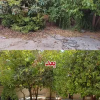 شرکت خدماتی بهپاک یاقوت درخشان|خدمات نظافت|شیراز, سینما سعدی|دیوار