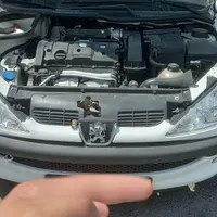 پژو 206 SD V8، مدل ۱۳۹۸|خودرو سواری و وانت|بندرعباس, |دیوار