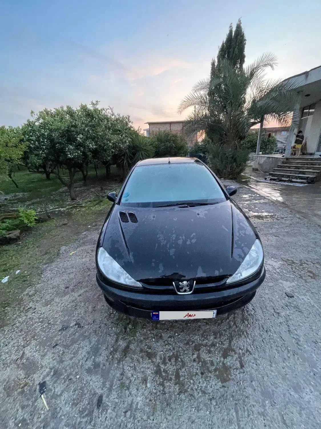 206sd v9|خودرو سواری و وانت|ساری, |دیوار
