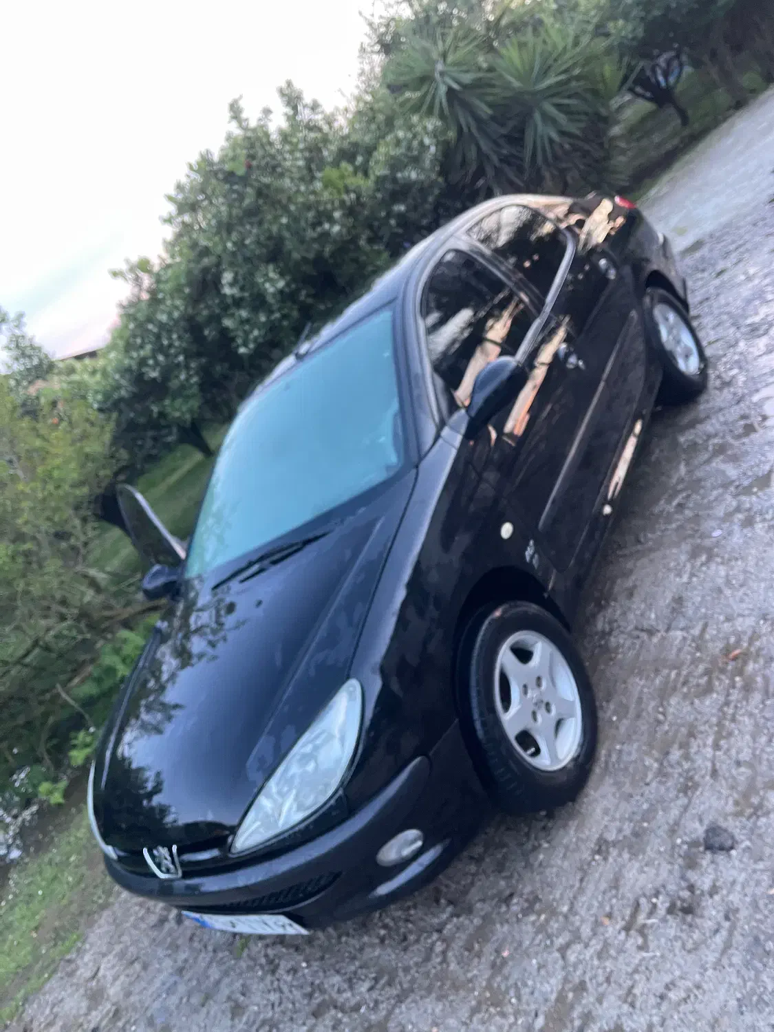 206sd v9|خودرو سواری و وانت|ساری, |دیوار