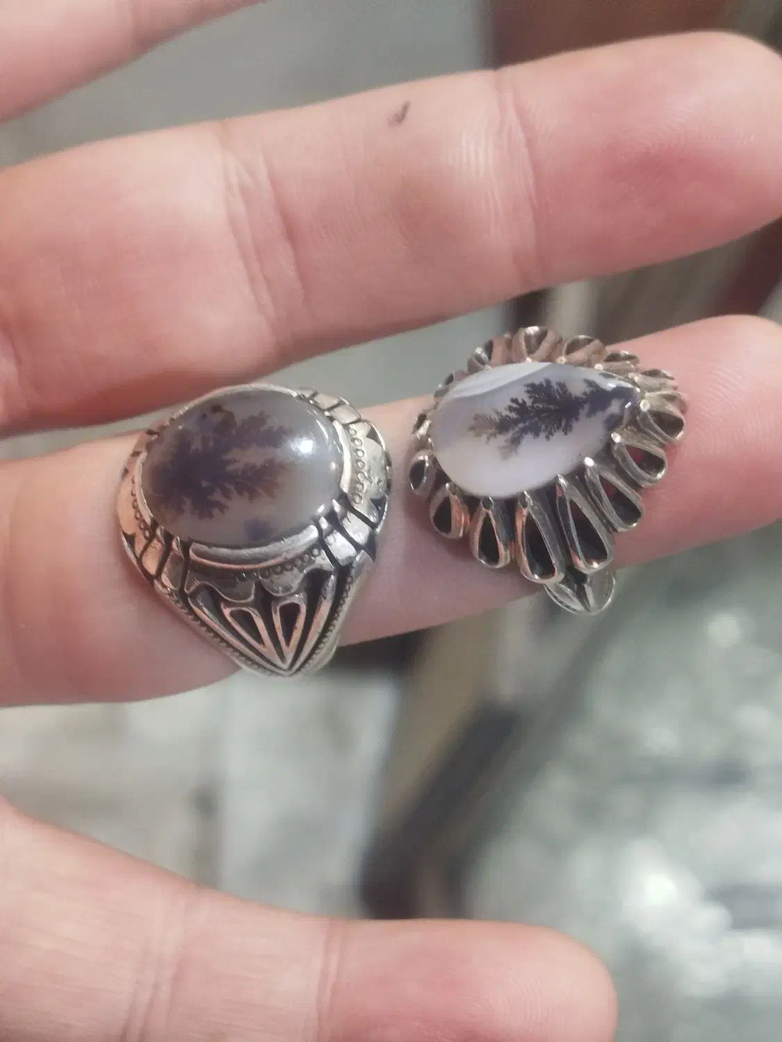 شجر|کلکسیون اشیاء عتیقه|قزوین, |دیوار