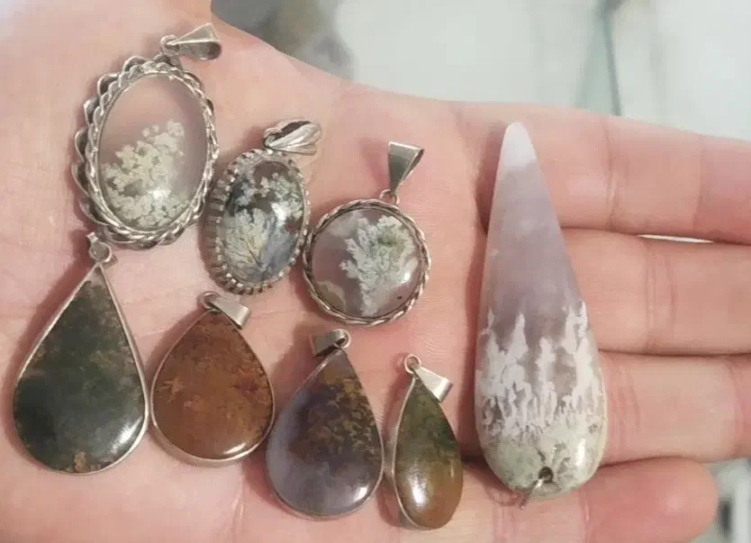 شجر|کلکسیون اشیاء عتیقه|قزوین, |دیوار