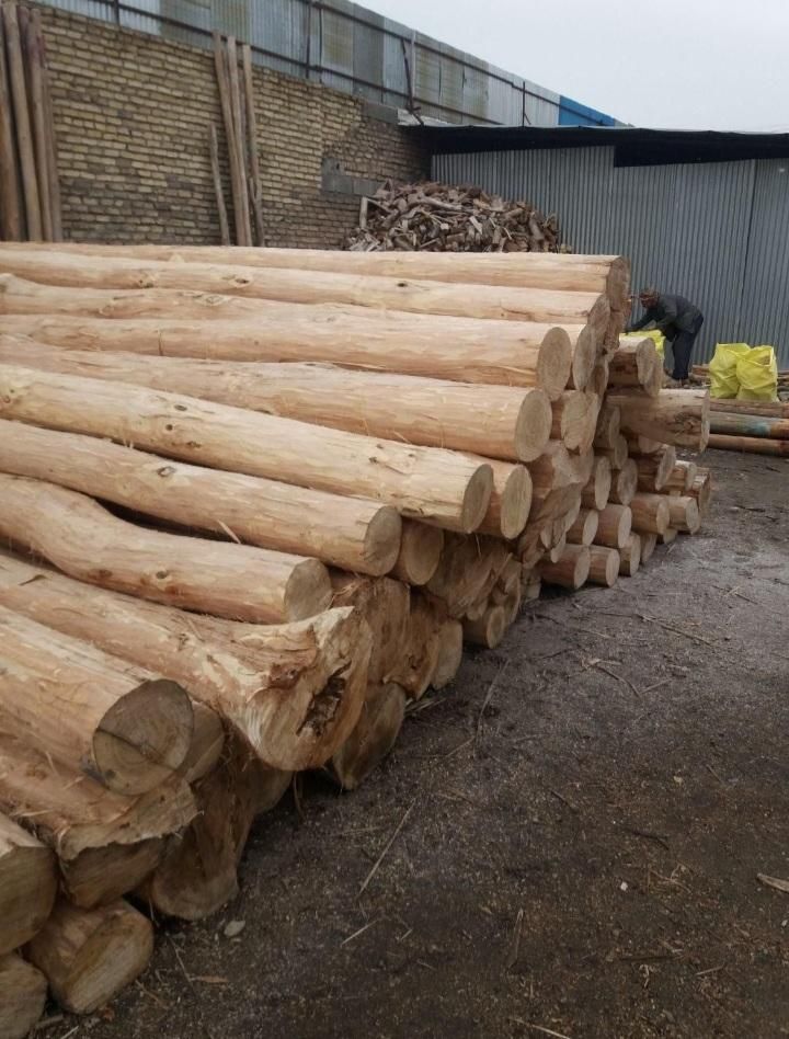 خریدار چوب سقفی|خدمات باغبانی و درختکاری|نیشابور, شهید بهشتی|دیوار