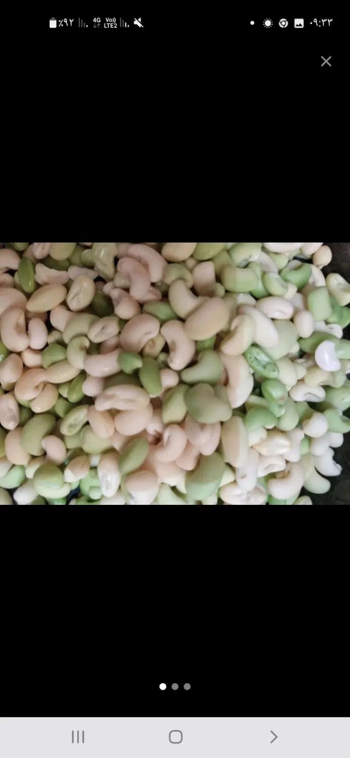 پاچ باقالی باپوست اول موجوده هم پاک شده طبق عکس|خوردنی و آشامیدنی|رشت, حمیدیان|دیوار