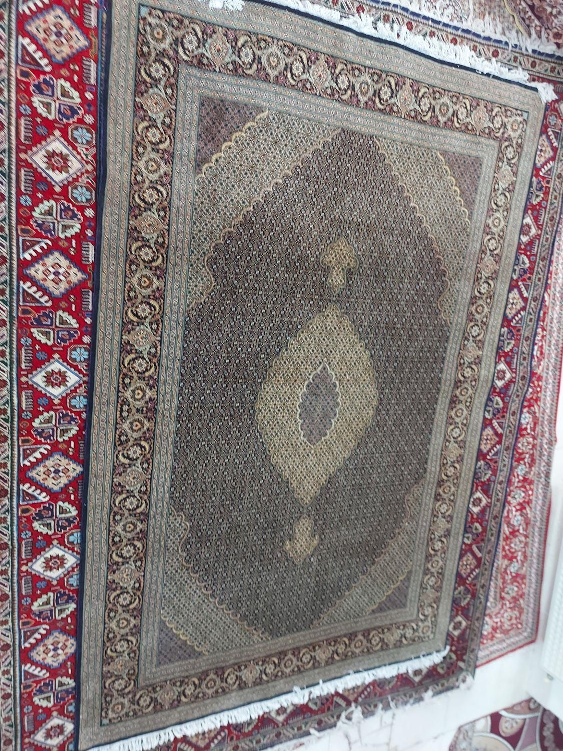 فرش ابریشم دستباف طرح ماهی درهم 50 رج|فرش|قم, سالاریه|دیوار