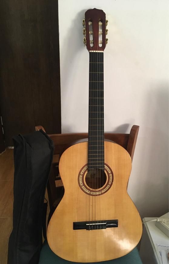 گیتار|گیتار، بیس، امپلیفایر|بوشهر, |دیوار