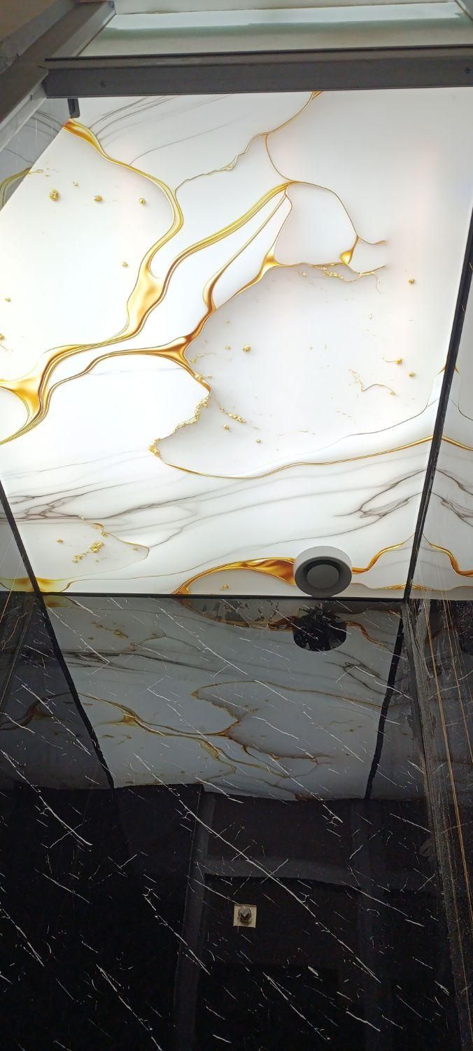 اجرا نصب کشسان آسمان مجازی سقف لاکر|خدمات پیشه و مهارت|اردبیل, |دیوار