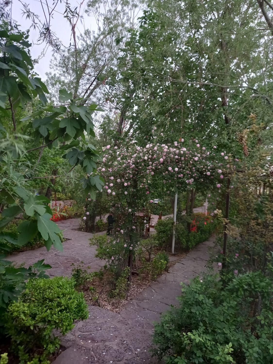 زمین ( مجتمع کشاورزی عصر کمیل )|فروش دفتر صنعتی، کشاورزی، تجاری|خاوران, |دیوار